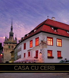 CASA CU CERB