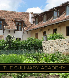 THE CULINARY ACADEMY
